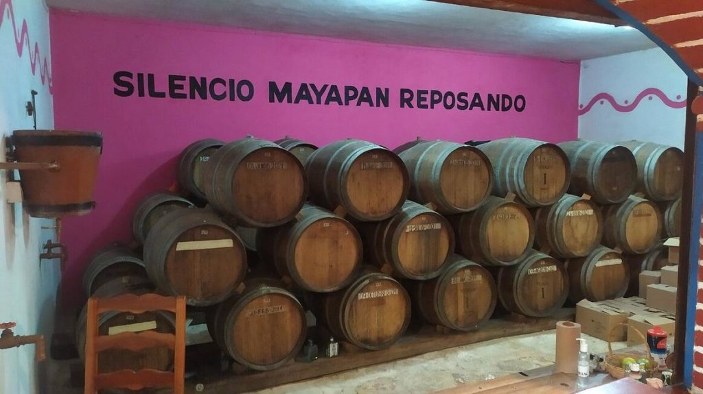 distillerie de Mayapan