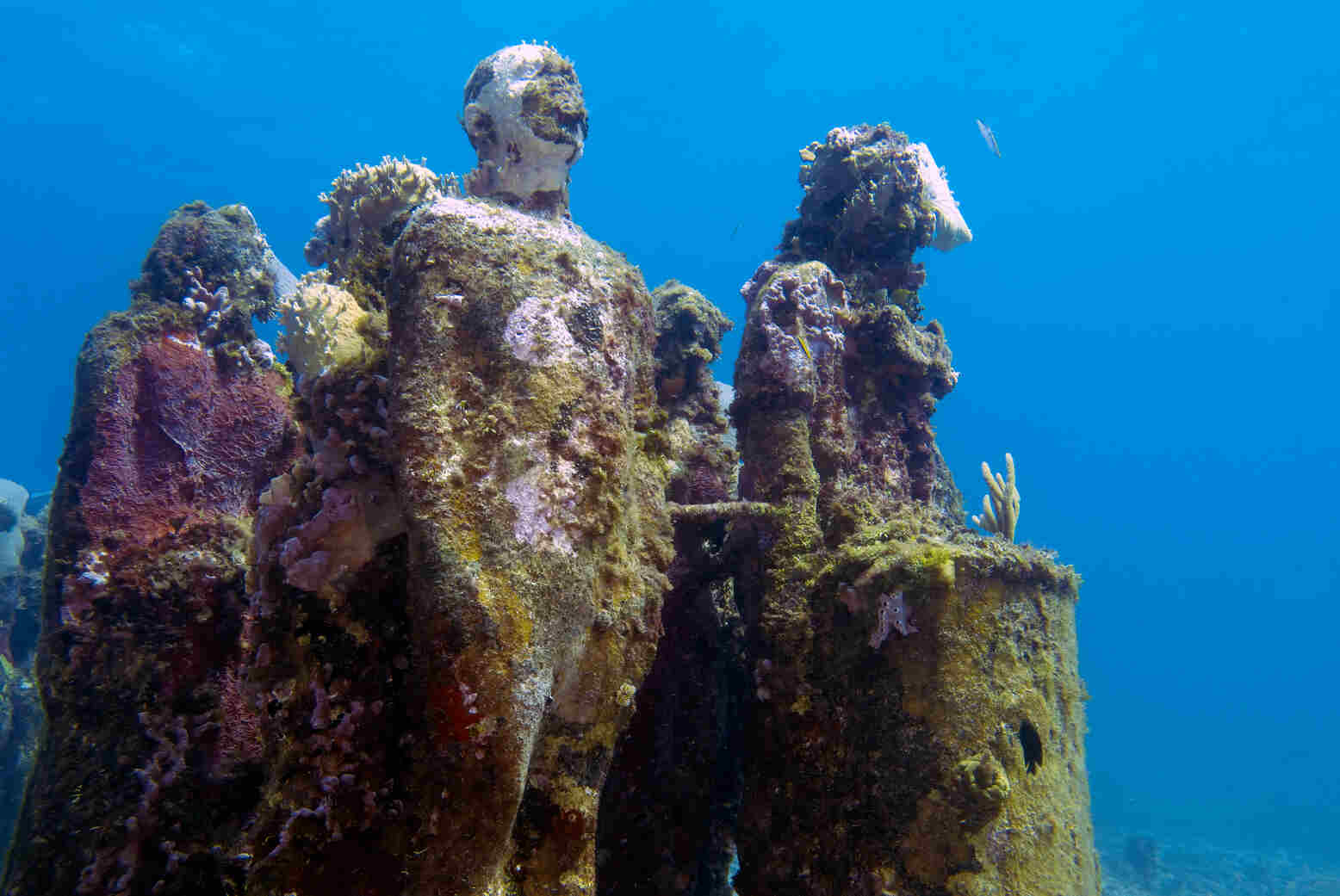 Les îles de la Riviera Maya