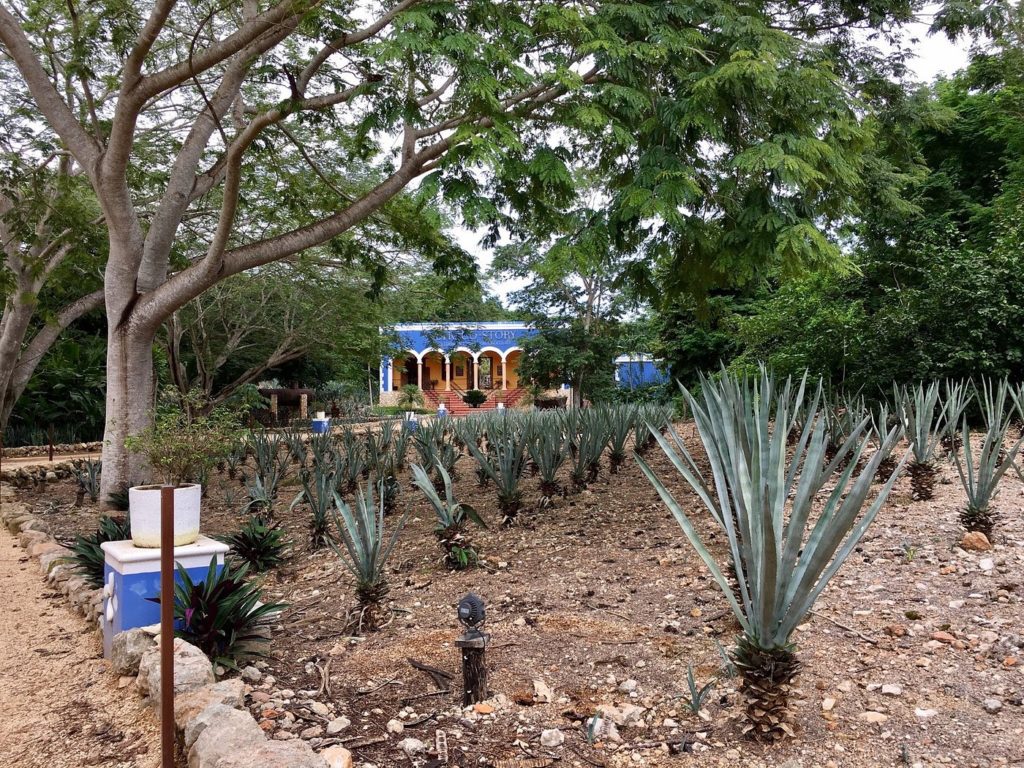 musée du cacao