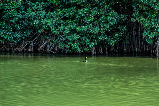 lagune de Chacahua