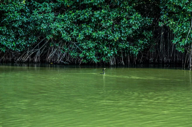 lagune de Chacahua