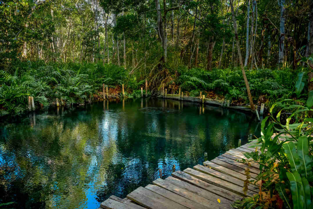 Celestun merida yucatan