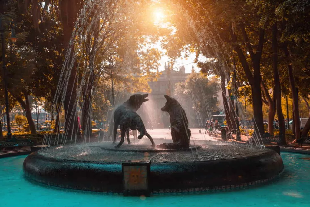 coyoacan