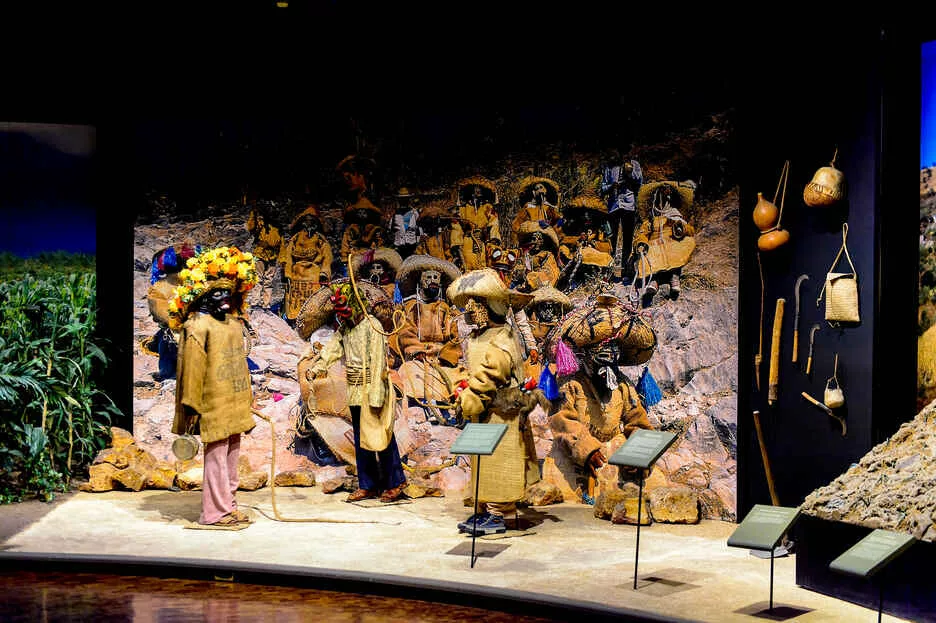 Musée anthropologie Mexico : mon guide 2025