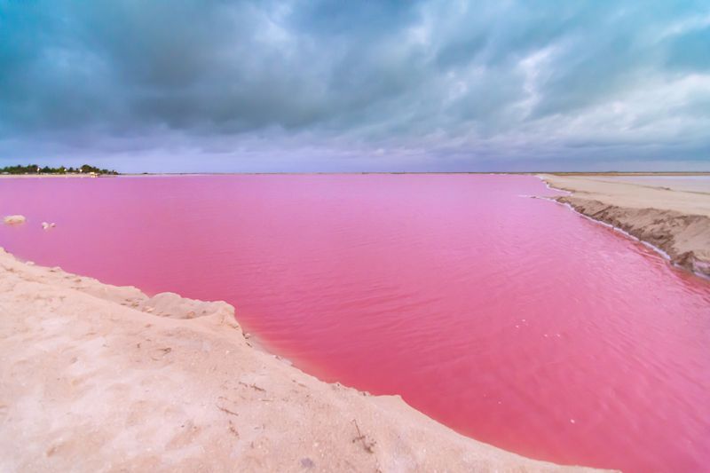 Lac Rose de Rio Lagartos