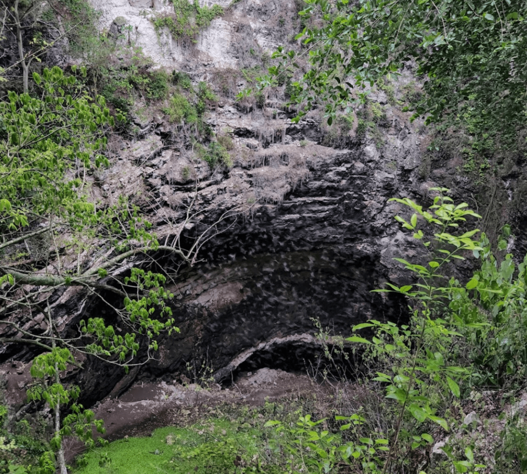 Découvrir Calakmul et la grotte aux chauves-souris