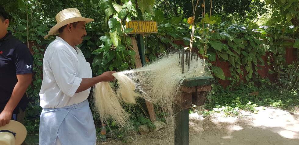 Merida, Yucatan : que faire dans cette ville du Mexique en 2023 ?