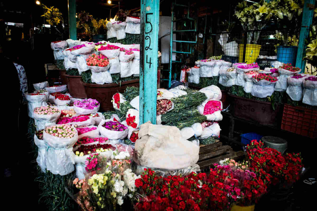 marché de jamaica mexico