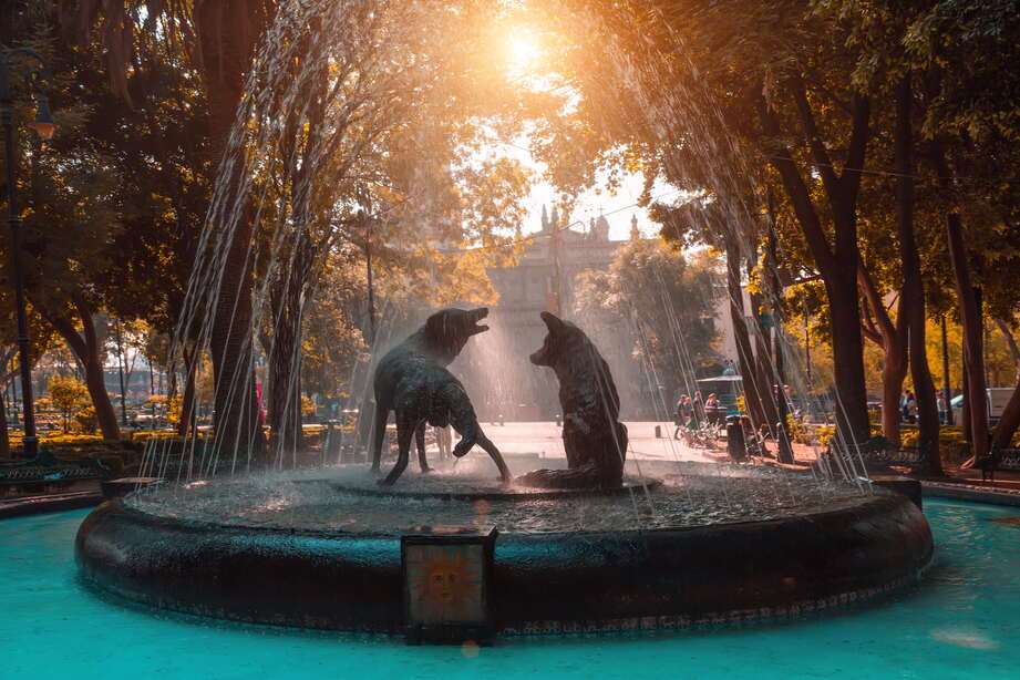 coyoacan et san angel