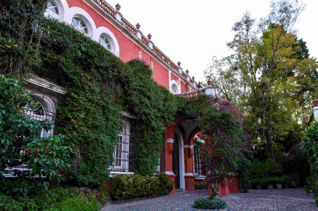 coyoacan et san angel