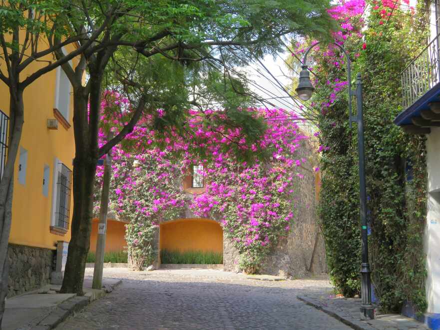 coyoacan et san angel