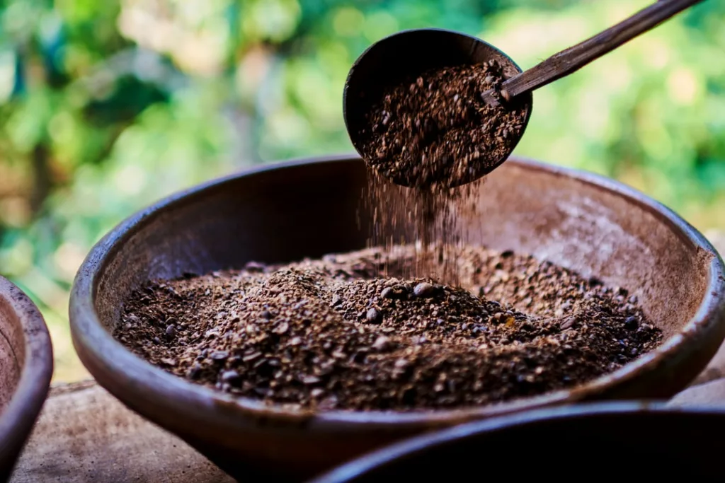 Torrefaction Kopi Luwak