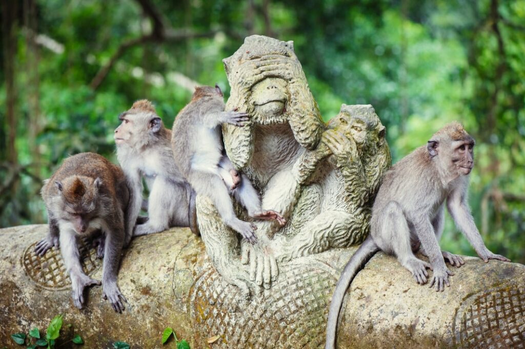 Forêt des singes d'Ubud