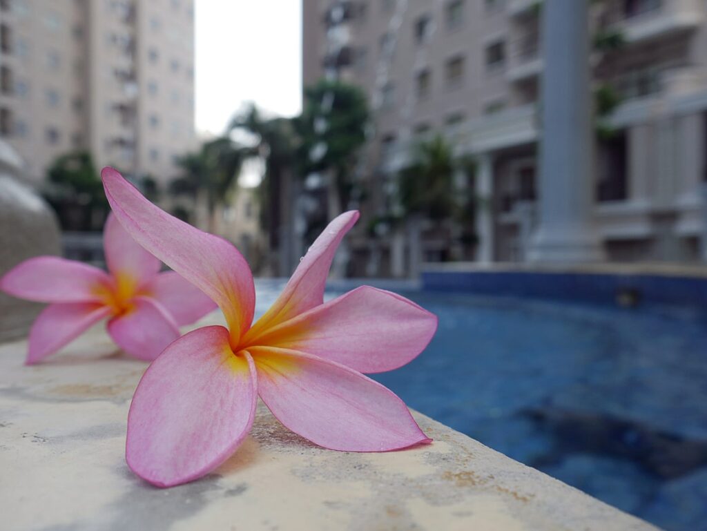 Spa & massage à Kuta