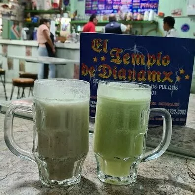 pulqueria xochimilco