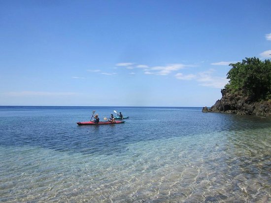 Snorkeling Amed : À la Rencontre des Tortues et des Épaves 