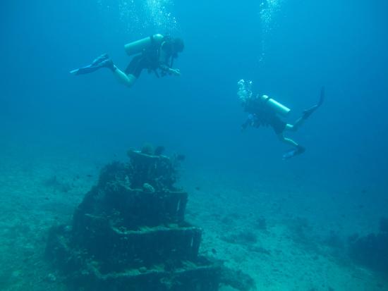 Snorkeling Amed : À la Rencontre des Tortues et des Épaves 