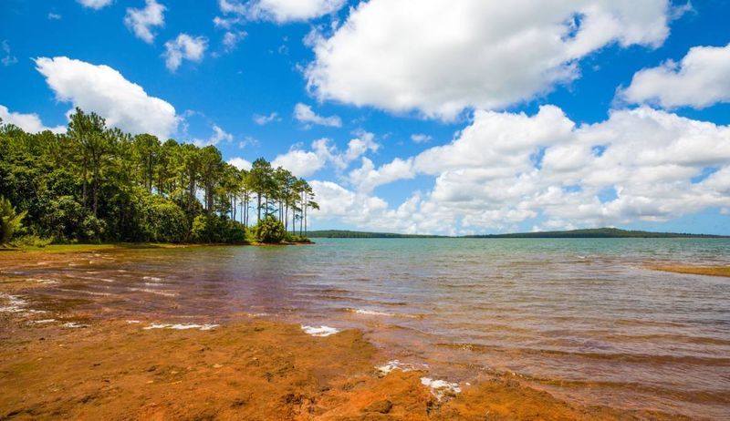  Mare aux Vacoas