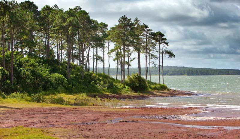  Mare aux Vacoas