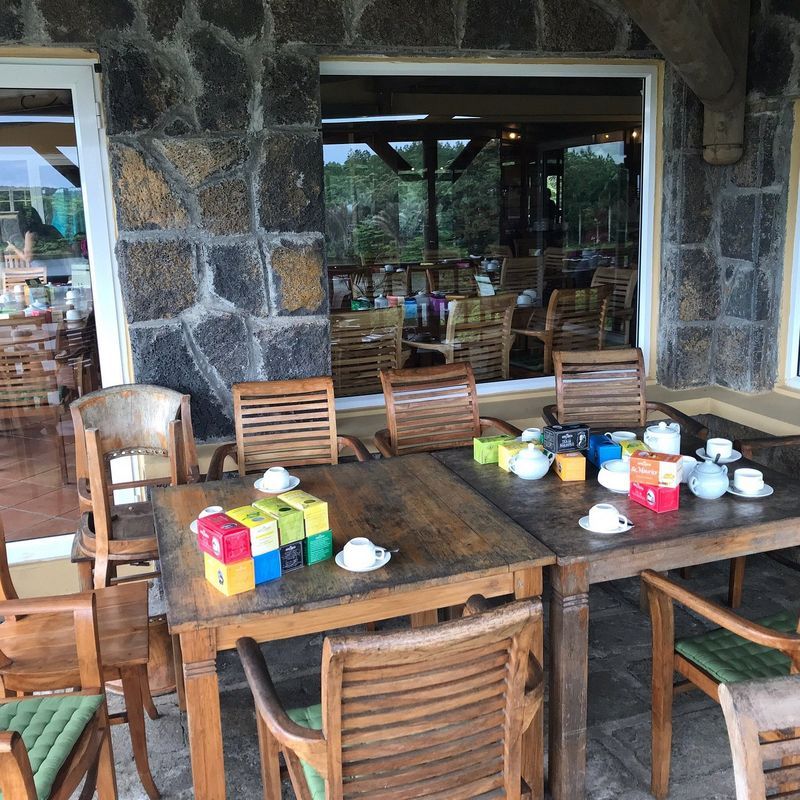 Découvrir Vacoas Île Maurice : mes conseils essentiels
