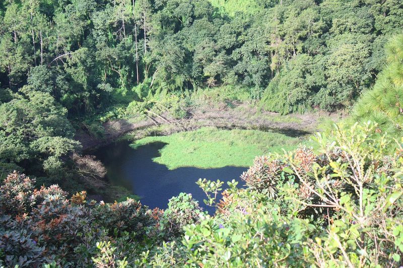 Curepipe