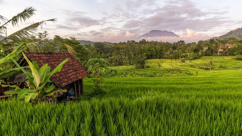 Sidemen à Bali