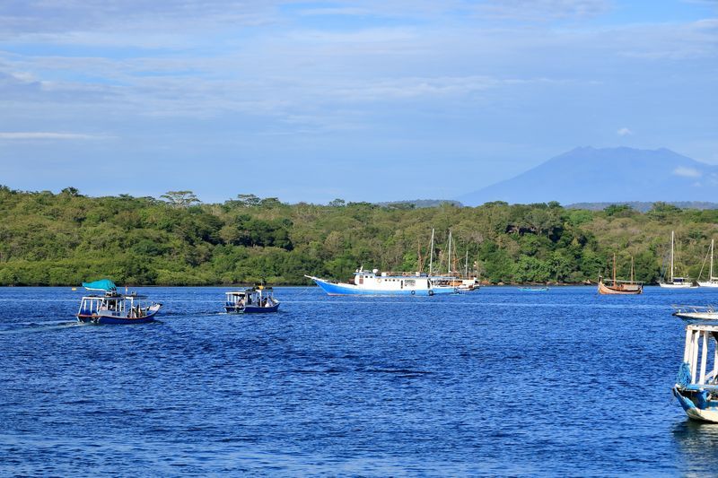 Snorkeling à Pemuteran