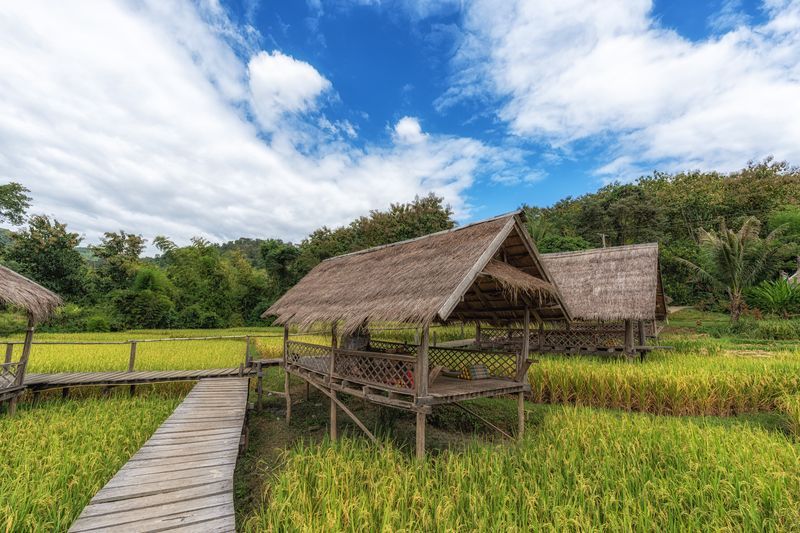 Warung local à Jatiluwih