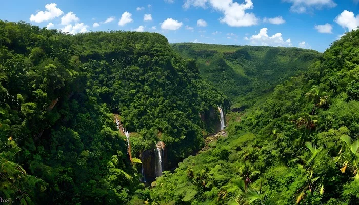 Parc national des Gorges de Rivière Noire