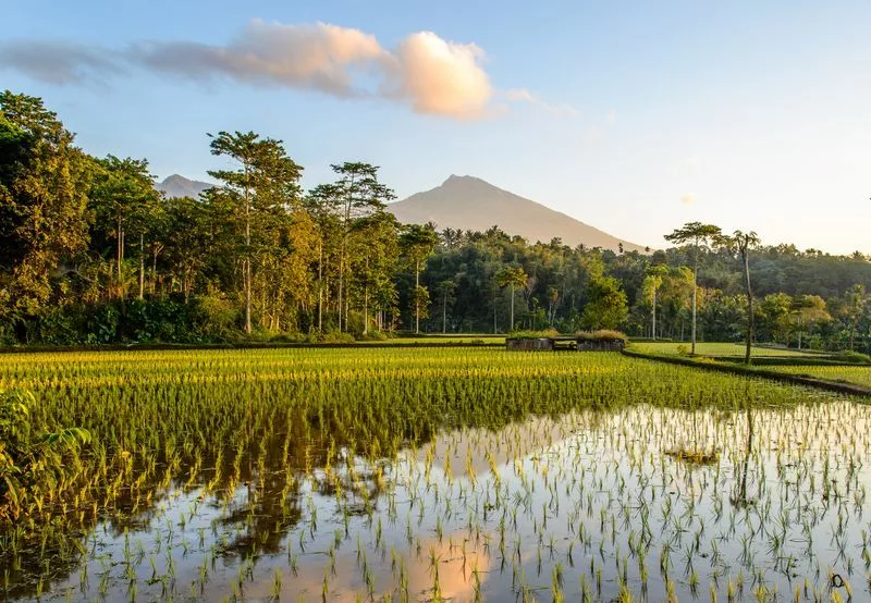 Tetebatu à Lombok