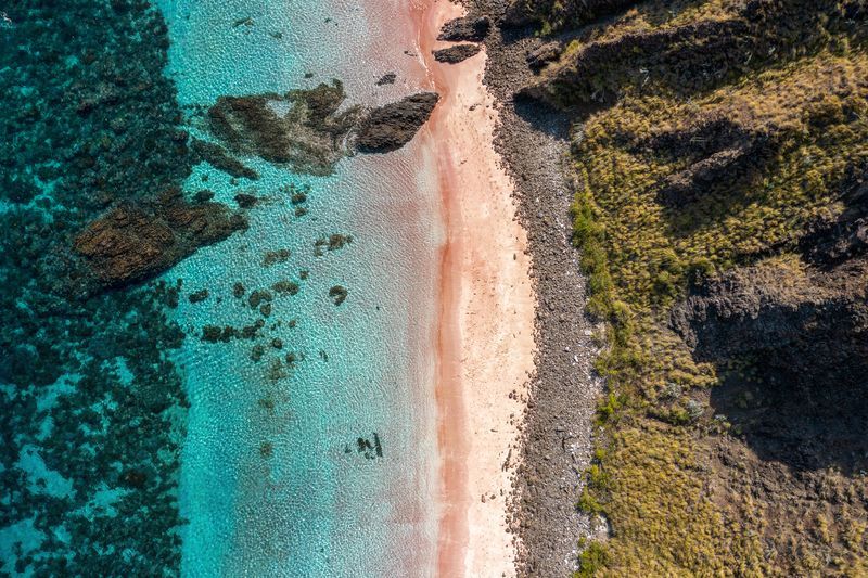 Plage rose à l'île de Komodo