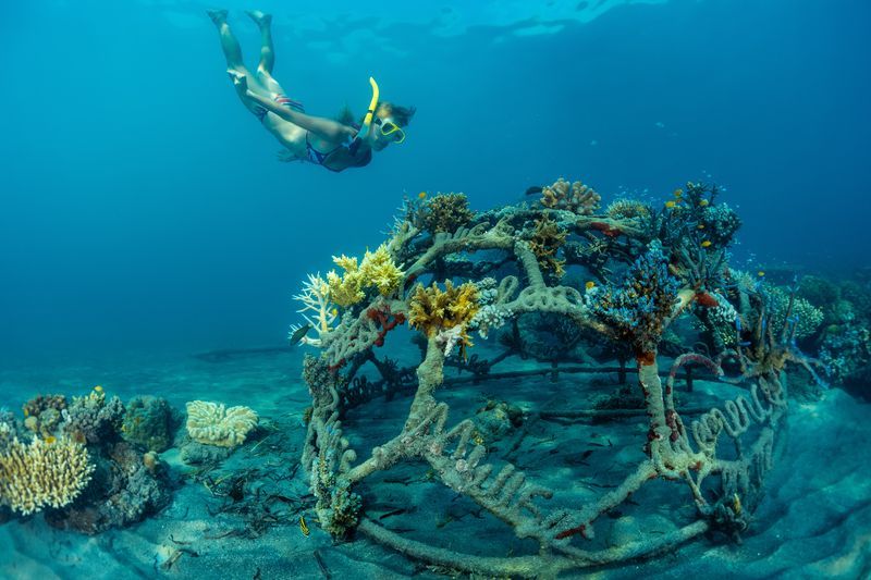 Snorkeling à Pemuteran