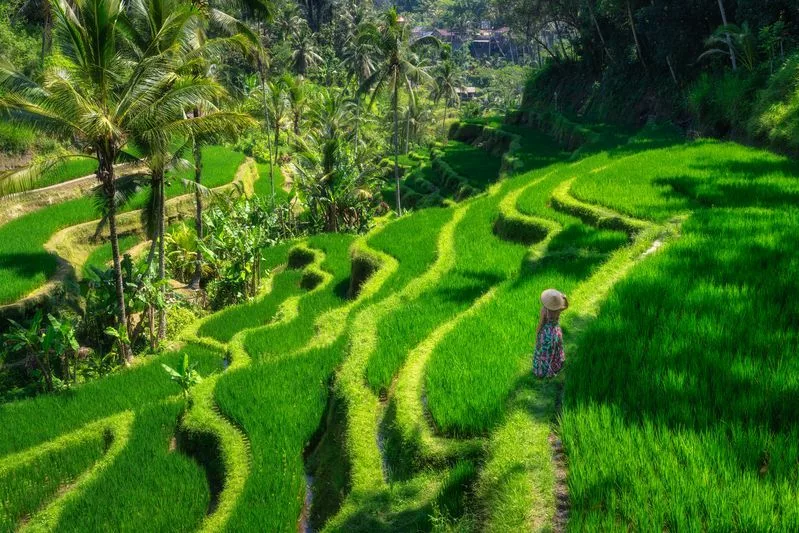 Randonnée à Bali