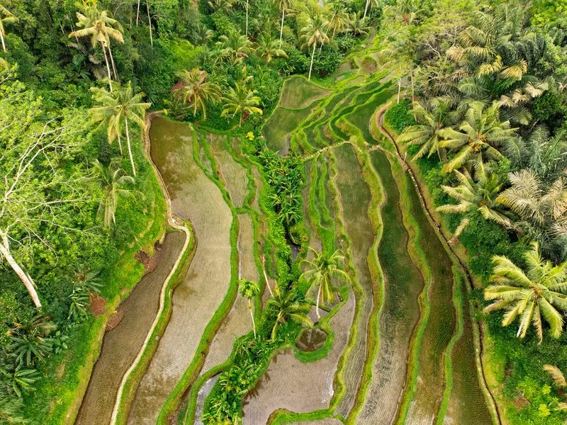 Sidemen à Bali