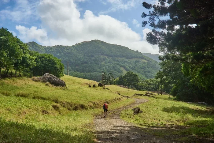 La vallée de Ferney : tout ce qu'il faut savoir