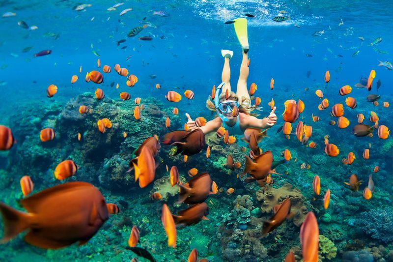 Snorkeling à Candidasa Bali
