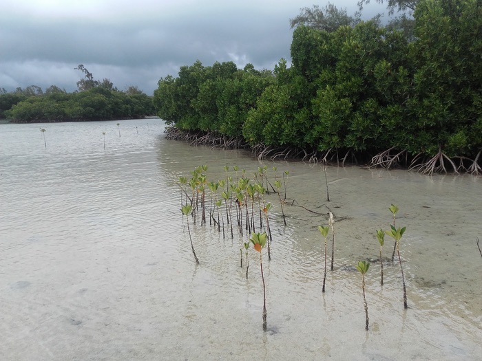 Ile Plate à l’ile Maurice : ma croisière nature dans un paradis préservé