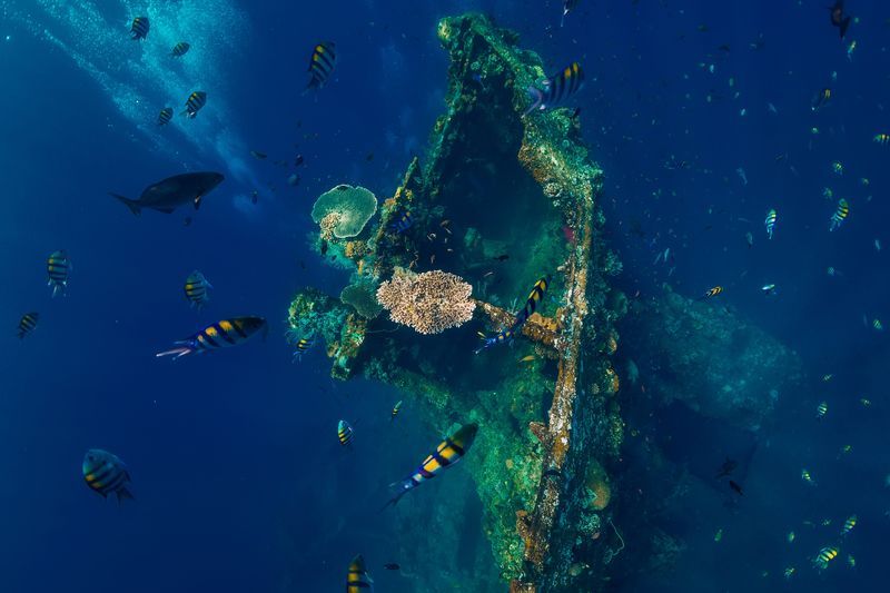 Epave du USS Liberty à Tulamben