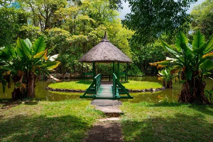 Jardin botanique de Pamplemousse