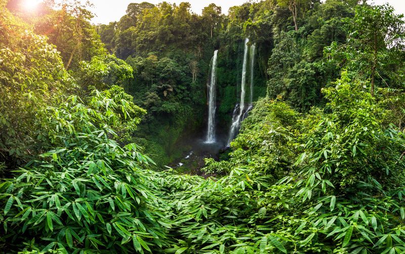 Cascade de Sekumpul