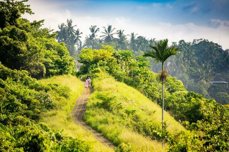 Randonnée à Ubud Bali