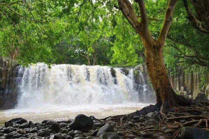Rochester Falls