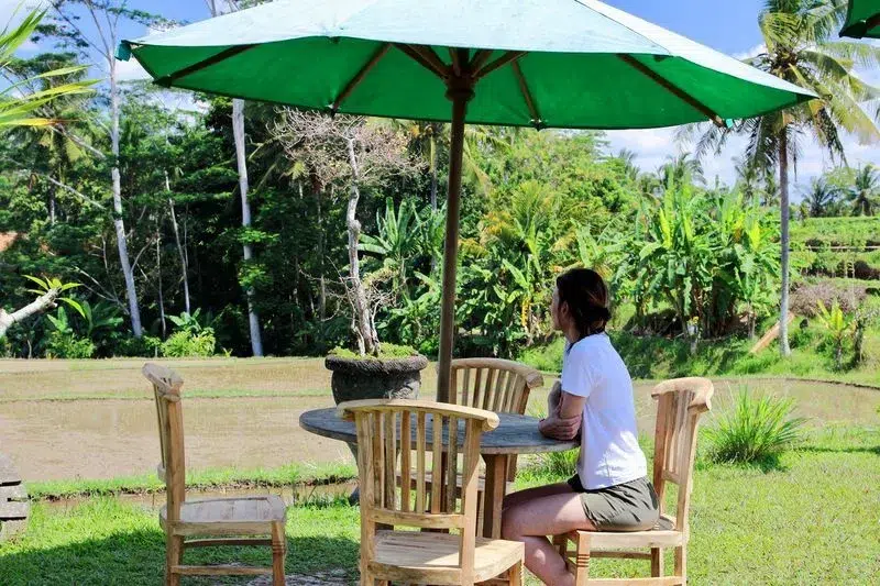 Warung rizières Bali