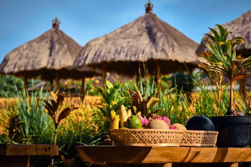 Warung rizières Bali