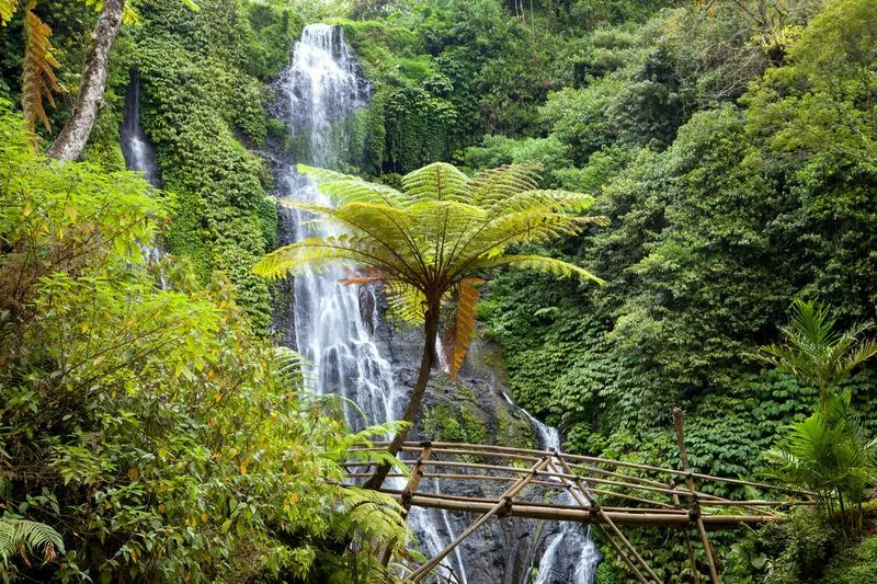 Pont bambou à Munduk