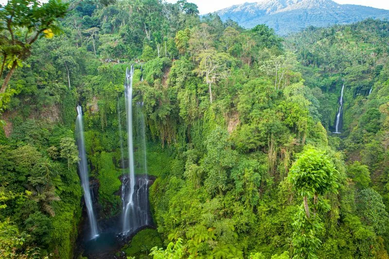 Cascade  Sekumpul Bali