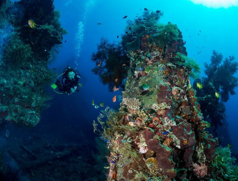 Liberty Wreck à Amed