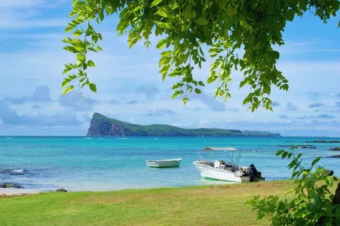 Voyager en bus à l’île Maurice : mon expérience locale et mes meilleurs conseils