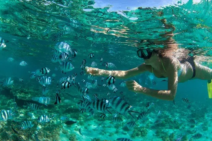 Snorkeling Belle Mare 