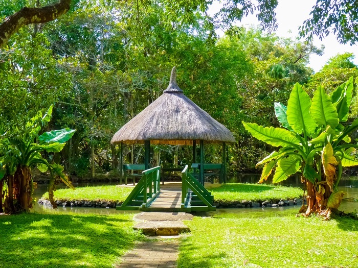 Jardin botanique de Pamplemousses